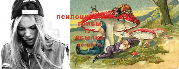 дурь Семикаракорск